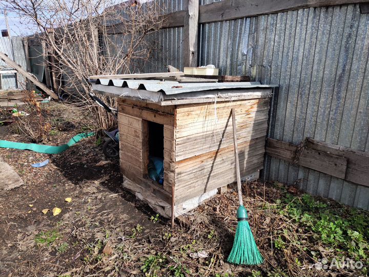 Будка для большой собаки