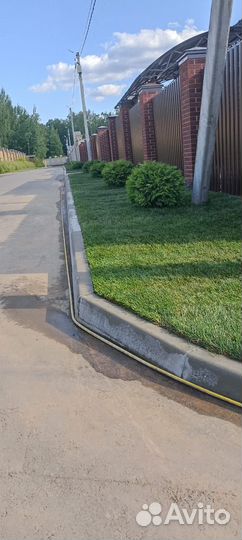 Рулонный газон c доставкой