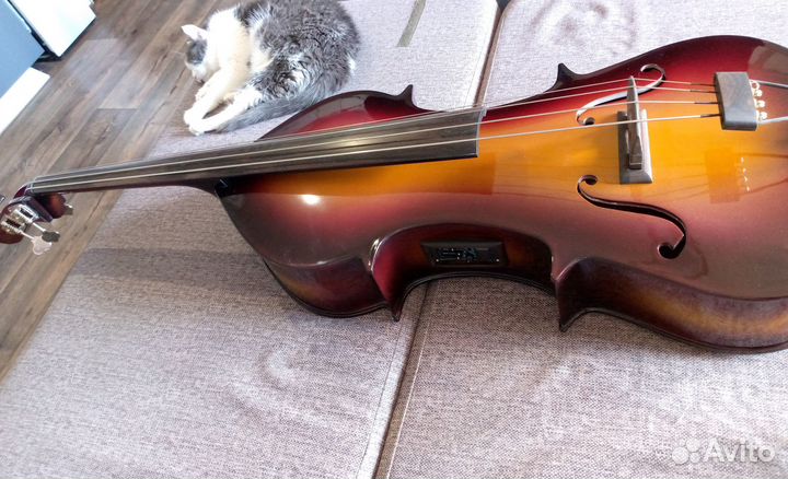 Электроконтрабас