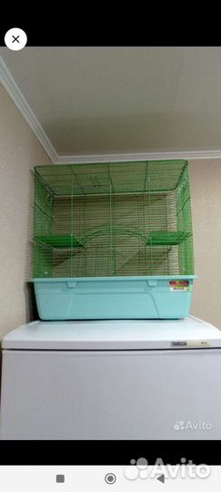 Клетка, Дюна