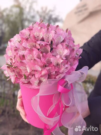 Букеты с Ирисами Альстромерией Гвоздикой