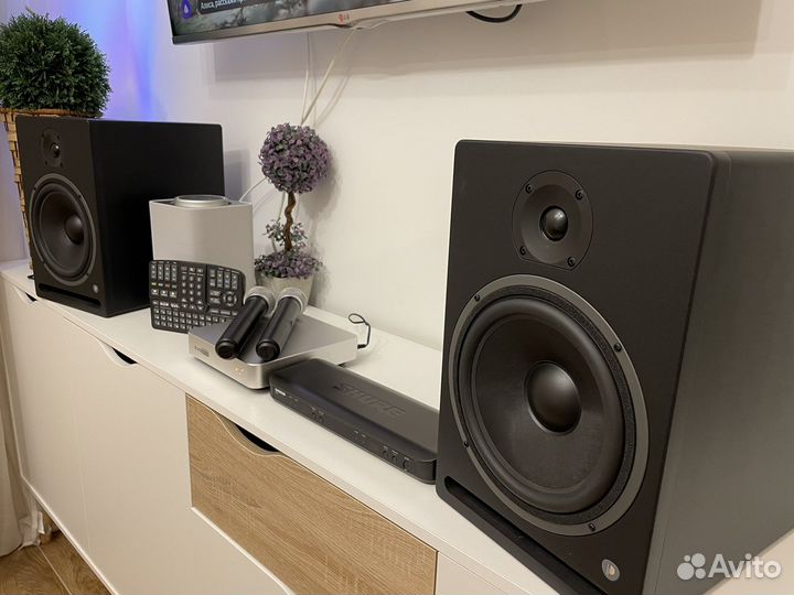 Evolution Evobox + shure blx 88 + студийный звук