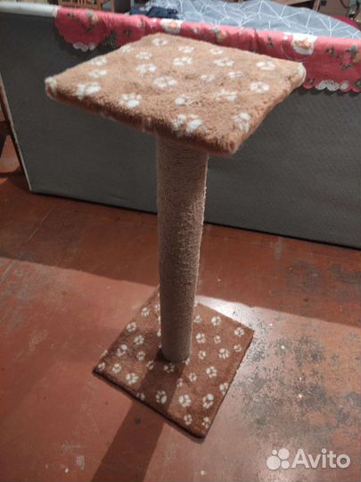 Переноски для кошек новые и туалет