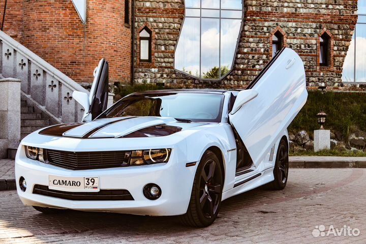 Аренда / Прокат Chevrolet Camaro