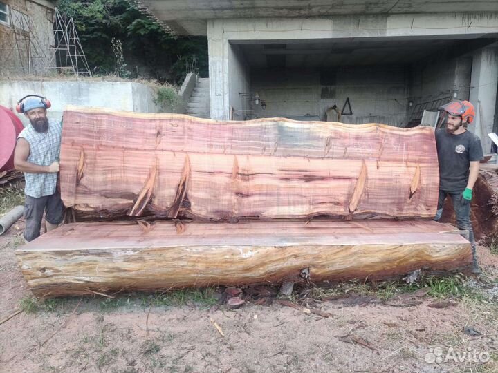 Слэб секвойя