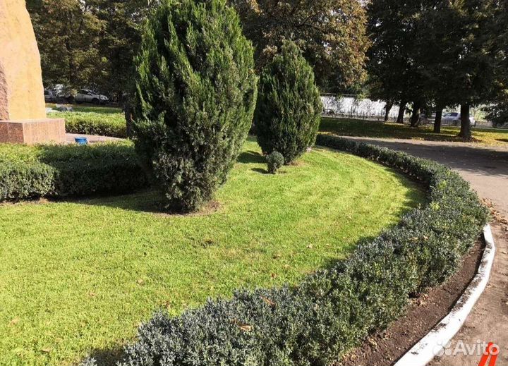 Проф покос травы, триммером с цепью, любая высота