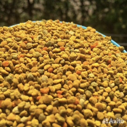 Пыльца пчелиная