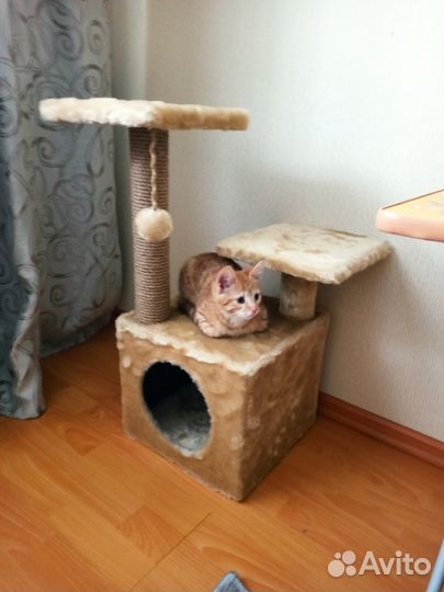 Кошачий домик с когтеточкой