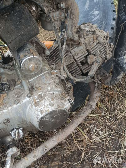 Продам мотоцикл альфу лесник