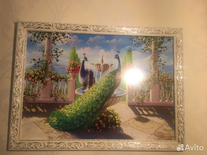 Картина павлины