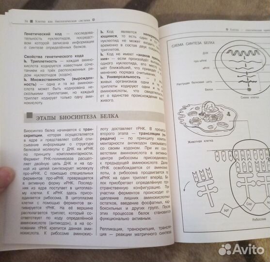 Книга биология Наглядный справочник