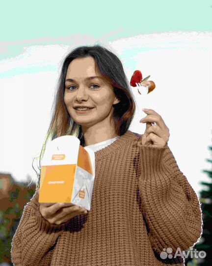 Франшиза стритфуда 