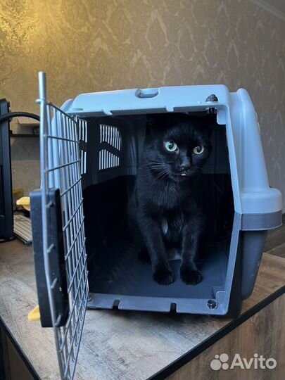 Переноска для животных