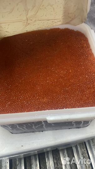 Икра кижуча оптом