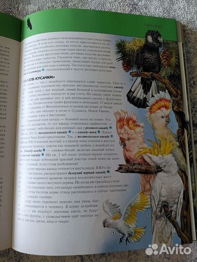 Энциклопедия