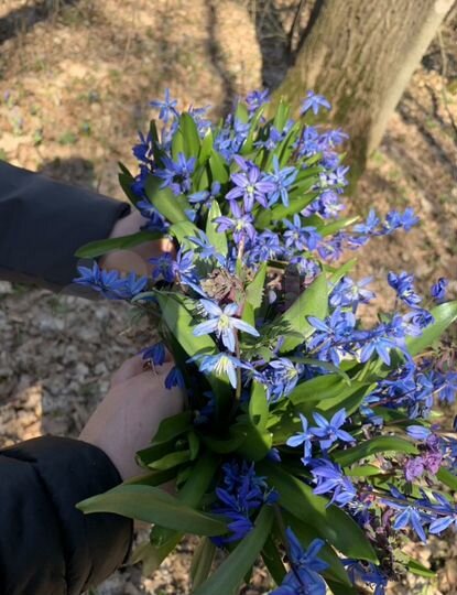 Участок 10,1 сот. (ИЖС)