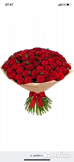 101 роза 8.00 20.00
