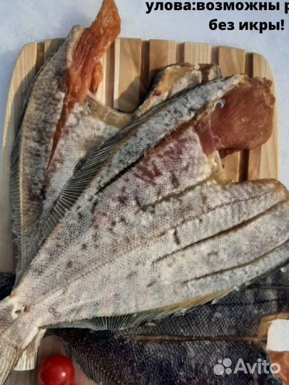 Крупный мурманский ёрш + доставка в подарок