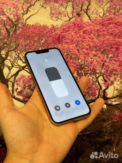 iPhone 13 Pro, 256 ГБ