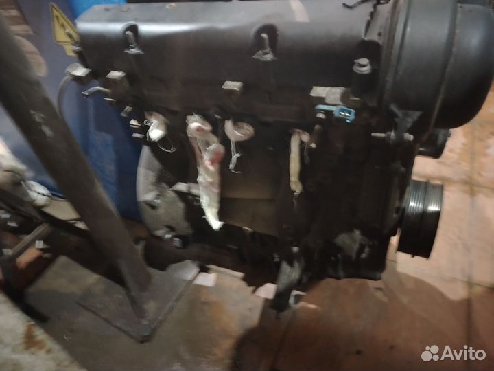 Двигатель 1.6 форд фокус 2