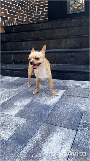 Брусчатка с доставкой заказ от 120 м2