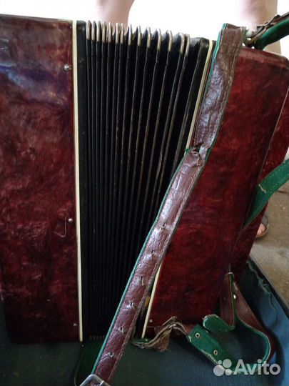 Баян пятирядный