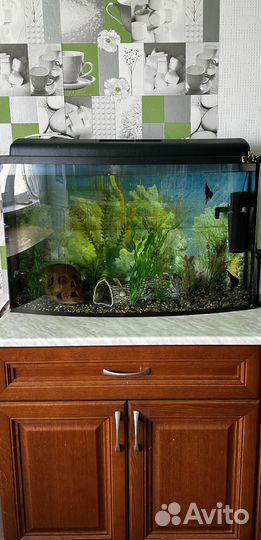 Аквариум 100 л