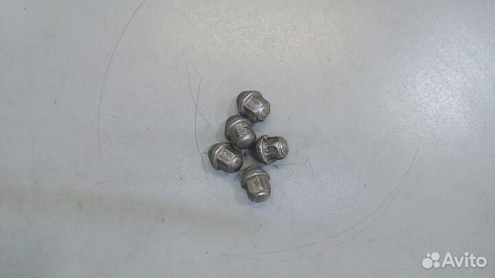 Гайка колесная Ford Kuga, 2013