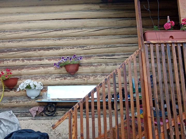 Дом 36 м² на участке 12 сот.