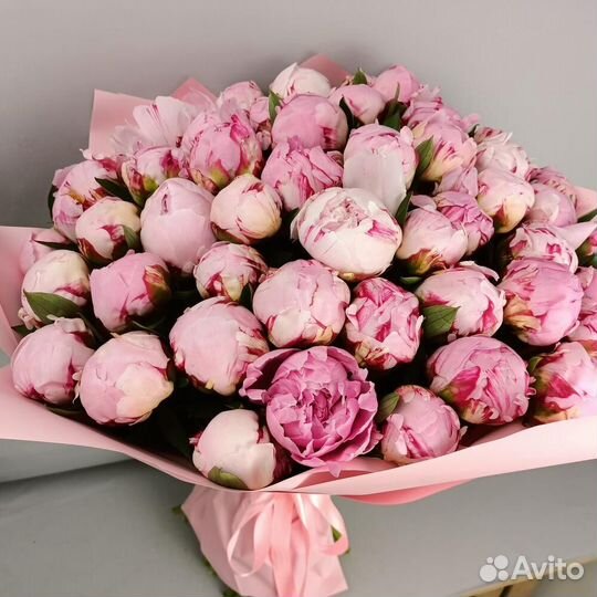Букет 51 нежно-розовый Пион
