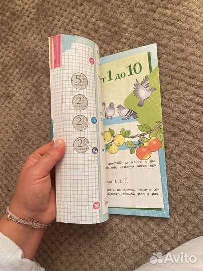 Учебник по математики моро 1 класс 1 часть