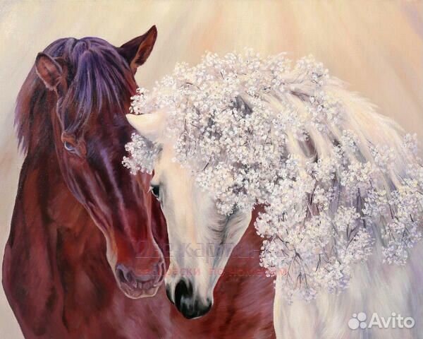 Картина по номерам 40x50 Конь и его белая лошадь