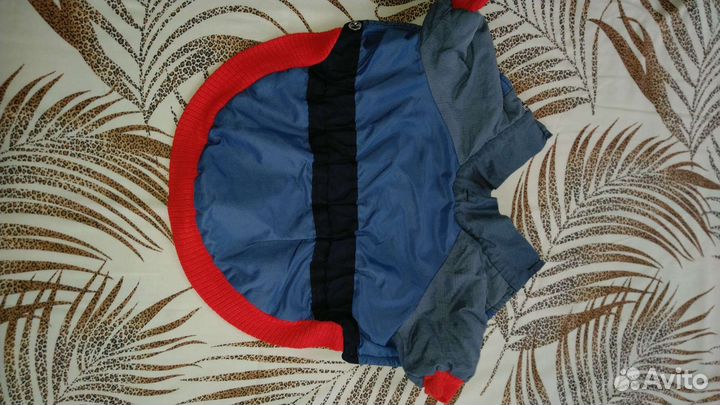 Одежда для маленьких собак s