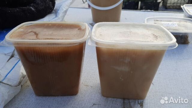 Мед Алтайский от пчеловода