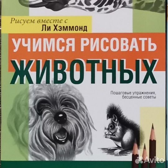 Ли Хэммонд и Ли Эймис, книги по рисованию