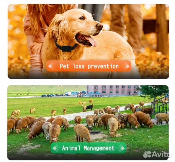 Ошейник GPS для домашних животных