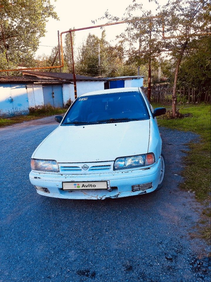 Nissan Primera: фото владельца