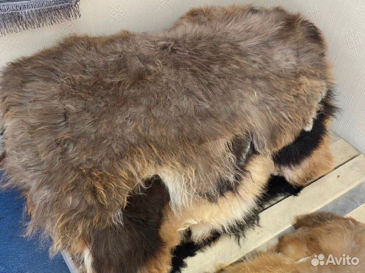Шкуры овечьи красивые качественные