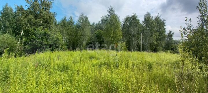Участок 6 сот. (СНТ, ДНП)