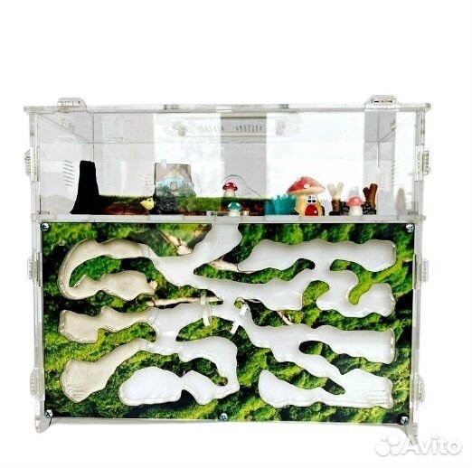 Муравьиная ферма отличный подарок окончанию школы