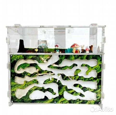 Муравьиная ферма отличный подарок окончанию школы