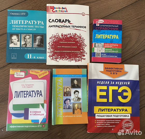 ЕГЭ литература