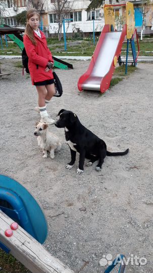 Лина и Боня