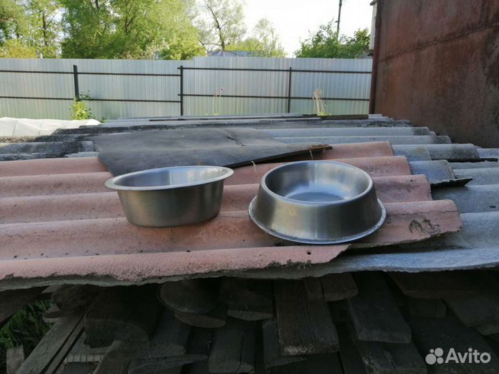 Миски для домашних животных