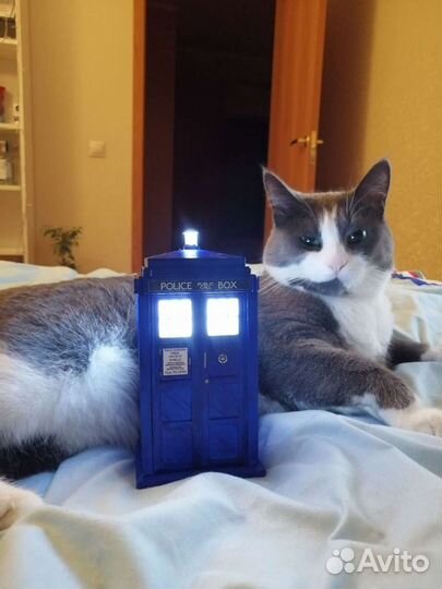 Тардис светильник