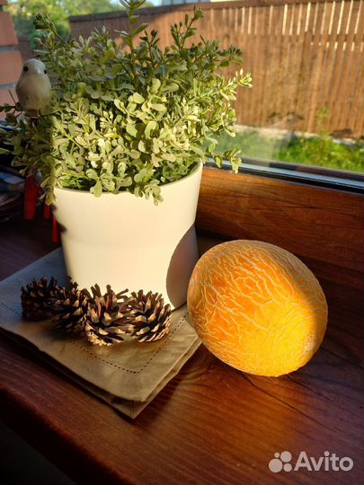 Семена дынь перца томатов