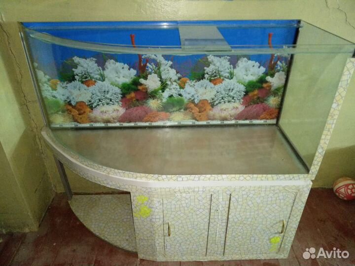 Аквариум