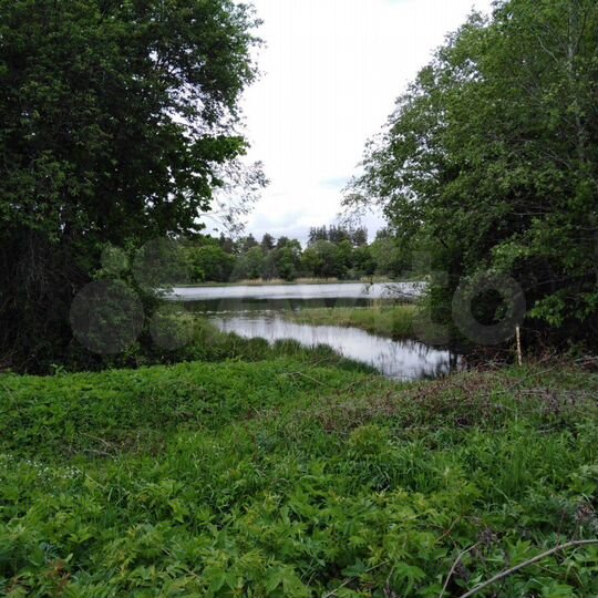 Дом 112 м² на участке 21 сот.