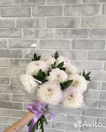 Георгины букет / Доставка цветов