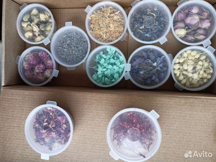 Сухоцветы для творчества